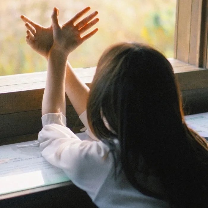 拥抱春天罗曼史